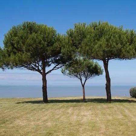 Avec Piscine Et Accès Direct à La Apartamento